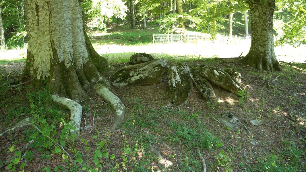 Zalantzazko argazkia