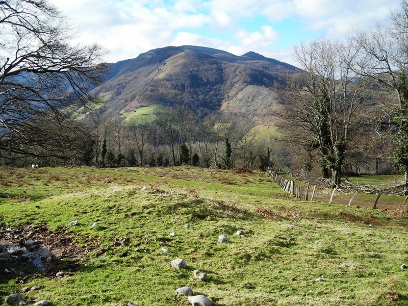 Mendigaña eremu tumulrra