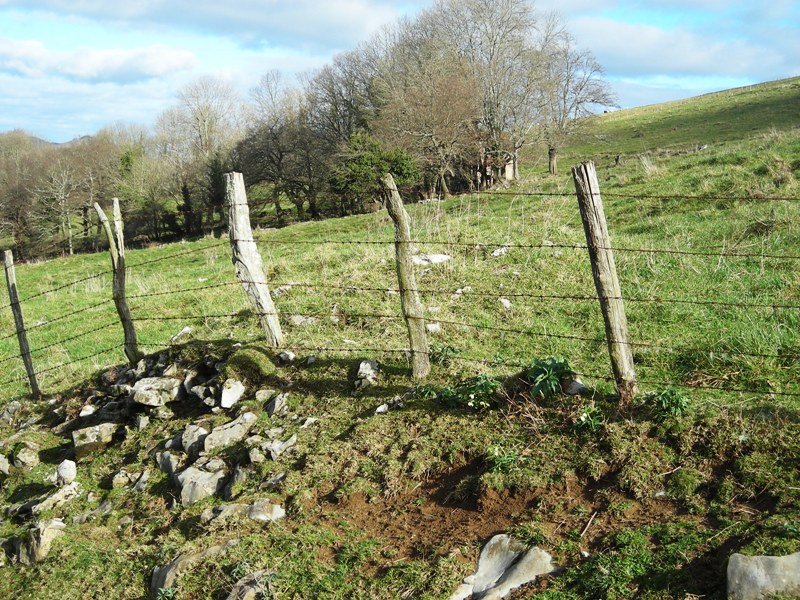 Mendigaña eremu tumularra