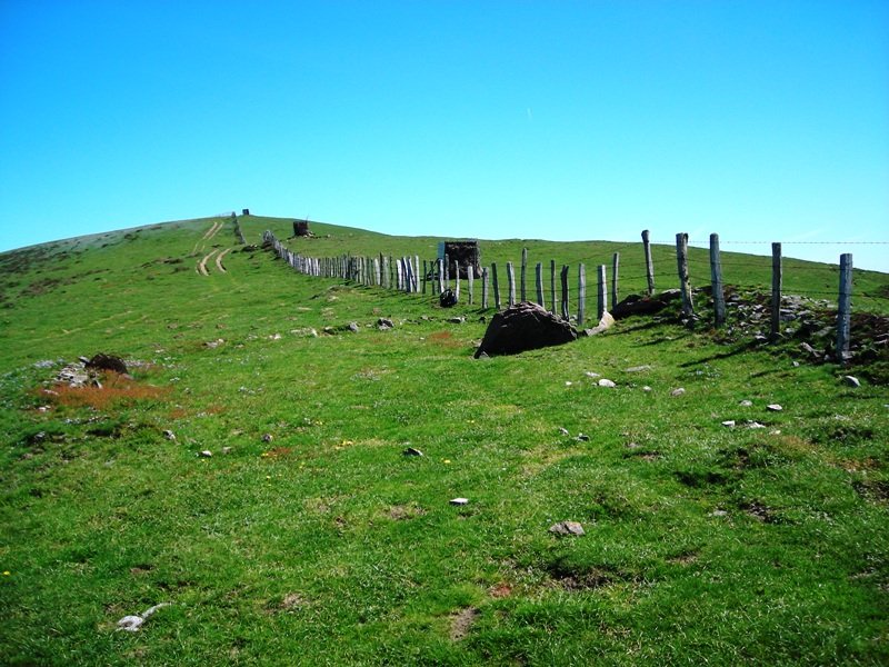 Uztanborro trikuharria