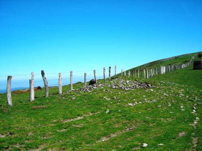 Uztanborro  trikuharria