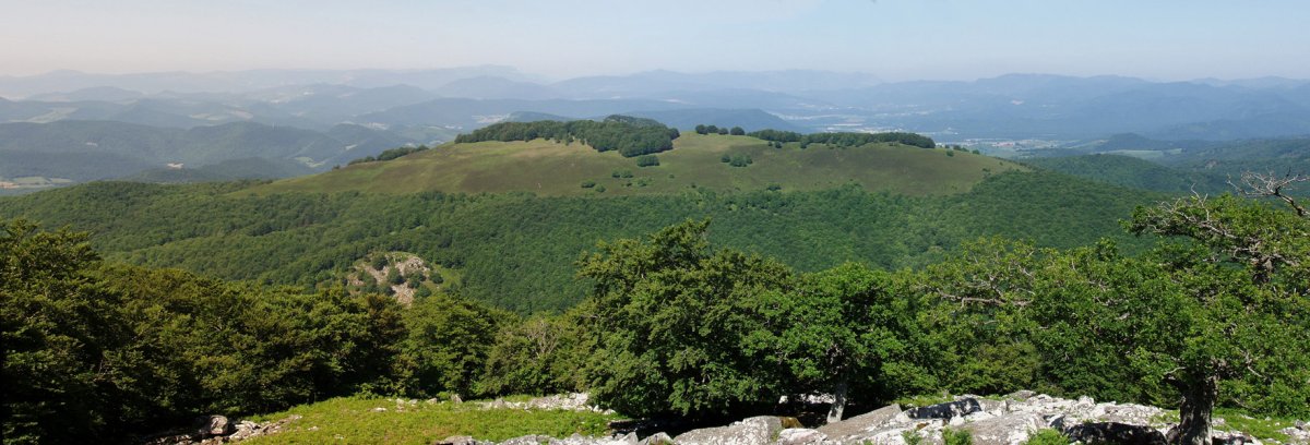 Urdanatzko bizkar luzea Goitiko Gainatik