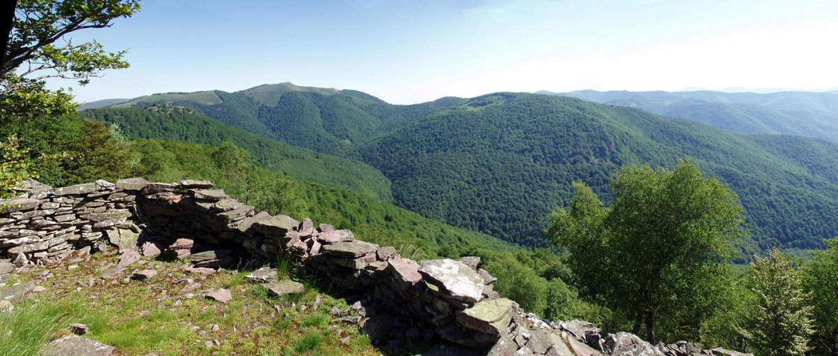 Burdindogiko behatokia