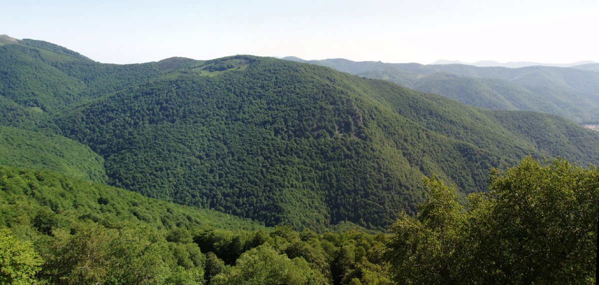 Erregerena Burdindogitik