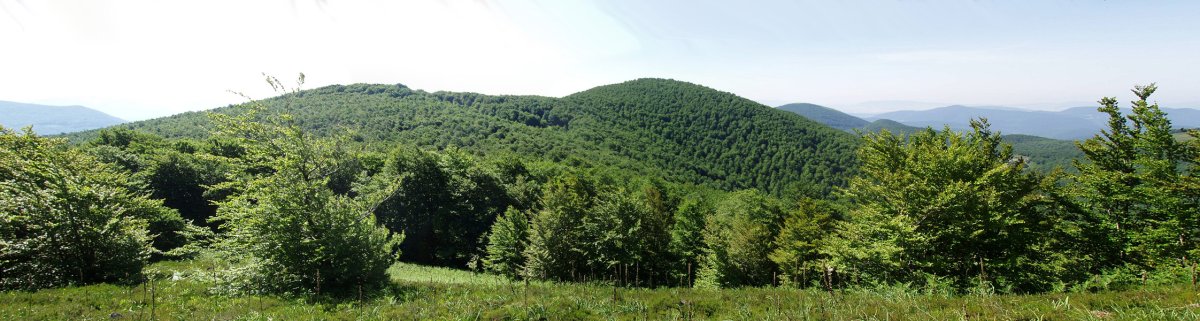 Leate eta Goitiko Gaina Burdindogiko bidetik