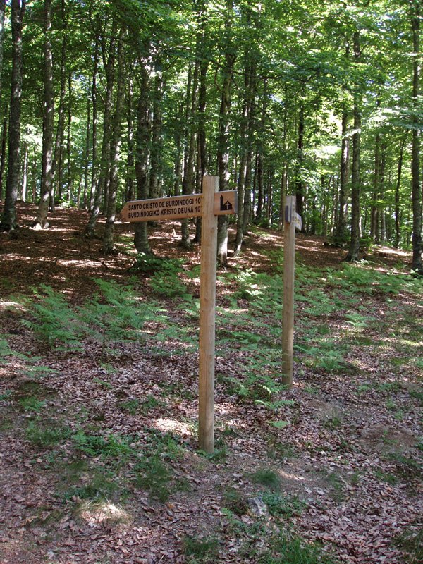 Adierazgarriak Burdindogi eta Leate arteko bidean