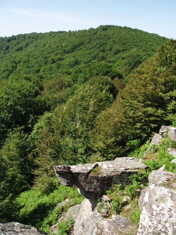 Leateko talaia. Atzean, Goitiko Gaina