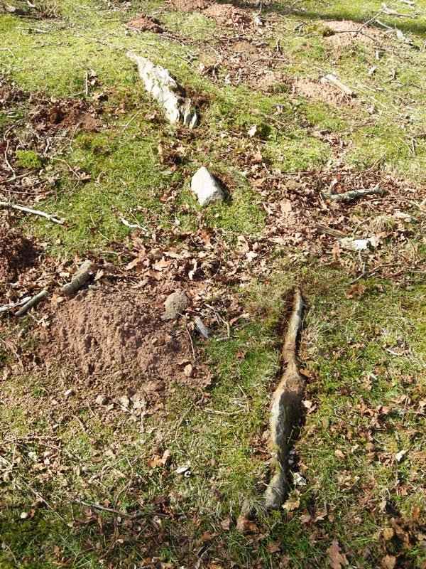 Gainxobordako lepoa harrespila