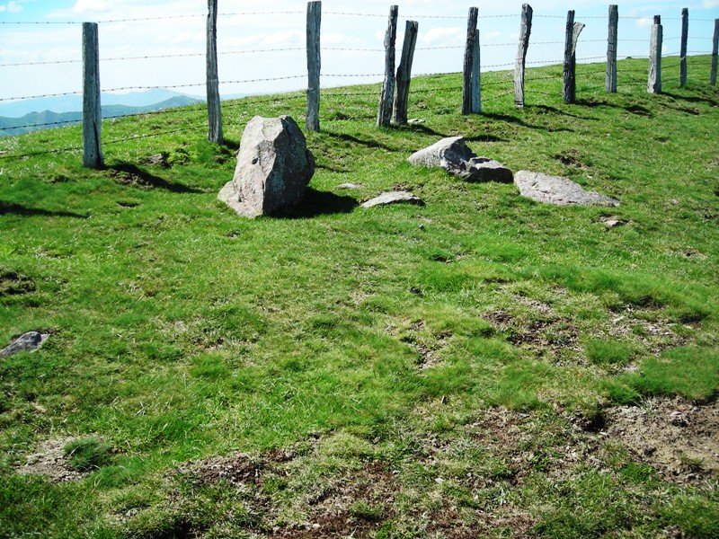 Buztanberro 2 harrespila