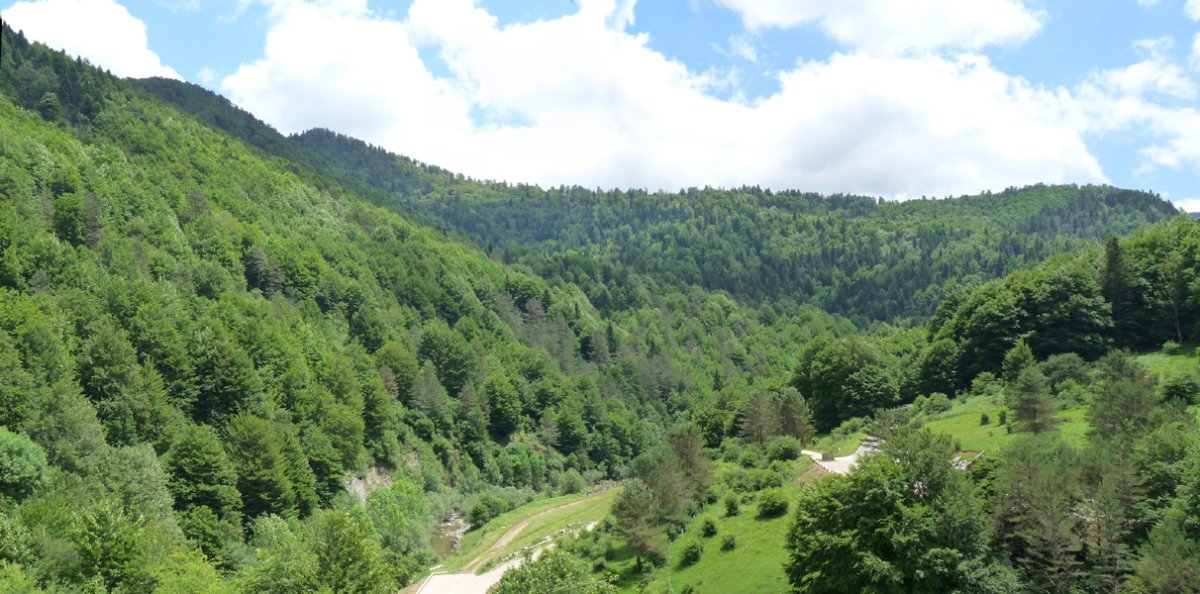 Akerreria Iratiko Etxeetatik