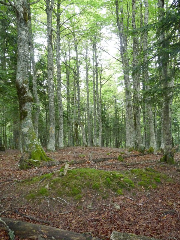 Baltsazarrako gailurra (1302m)