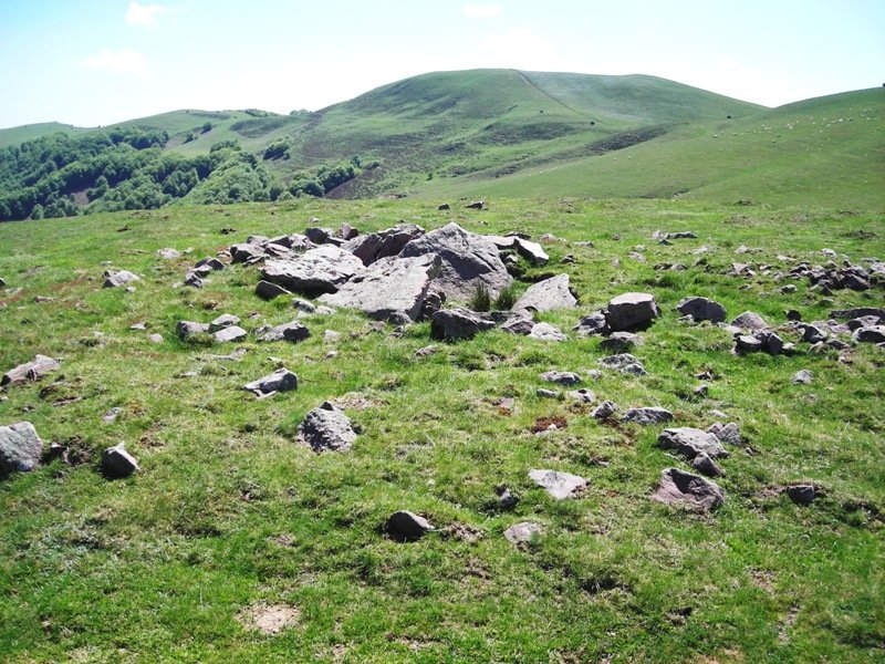 Luurzu 1 erdi trikuharria