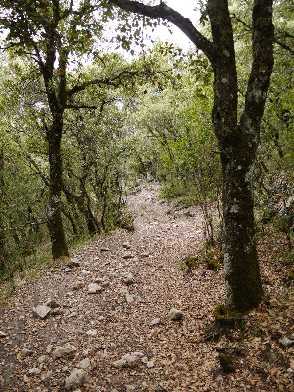 Larrion aldetik igotzen den bidea