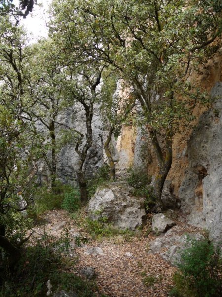 Lazkuako begiratokikorako bidea