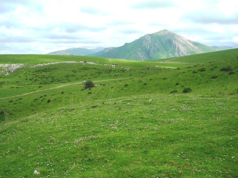 Irazulo etxola hondoa