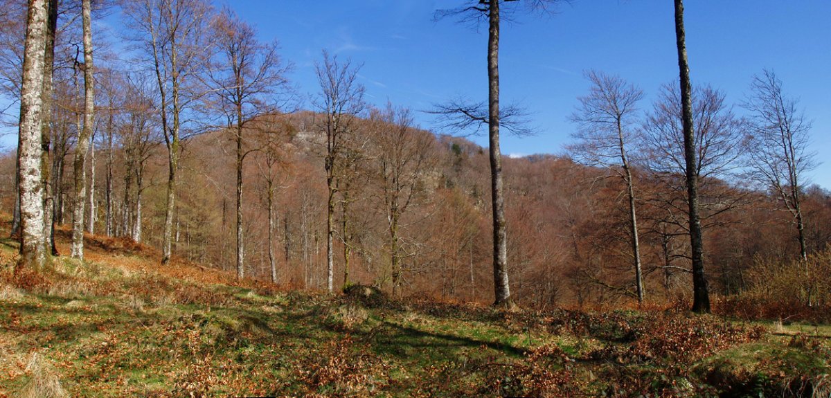 Arlengo Harria hego-ekialdetik