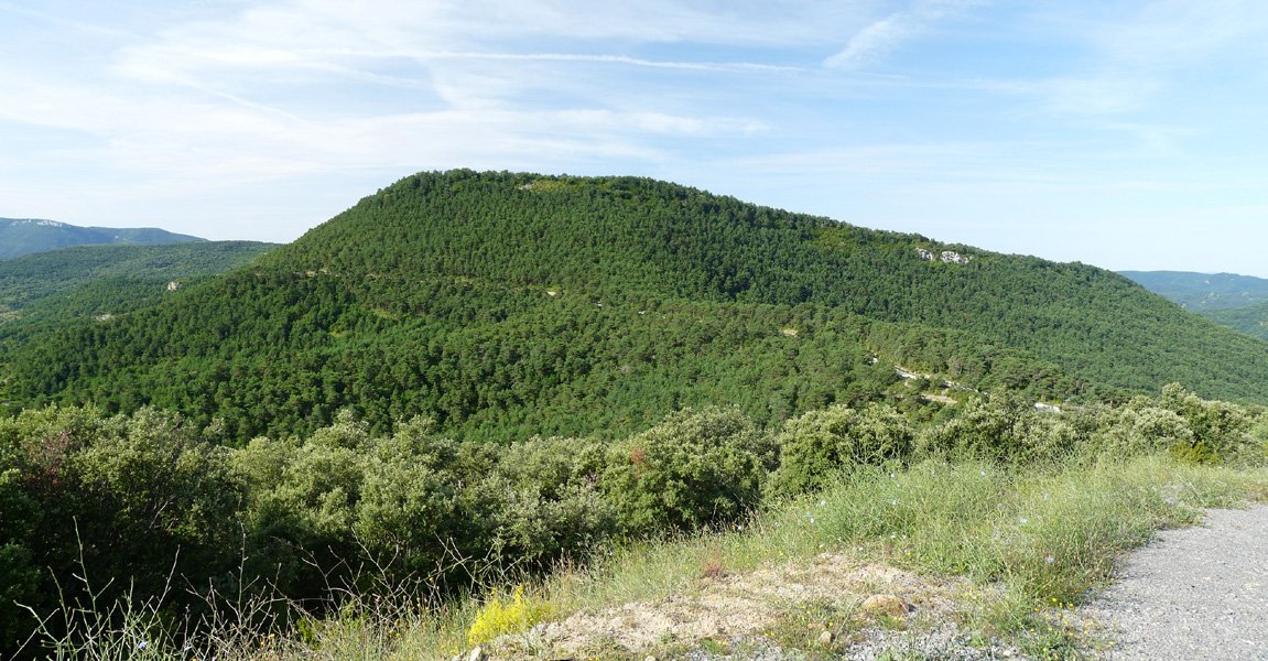 Urdazkain Elutsandiko lepotik