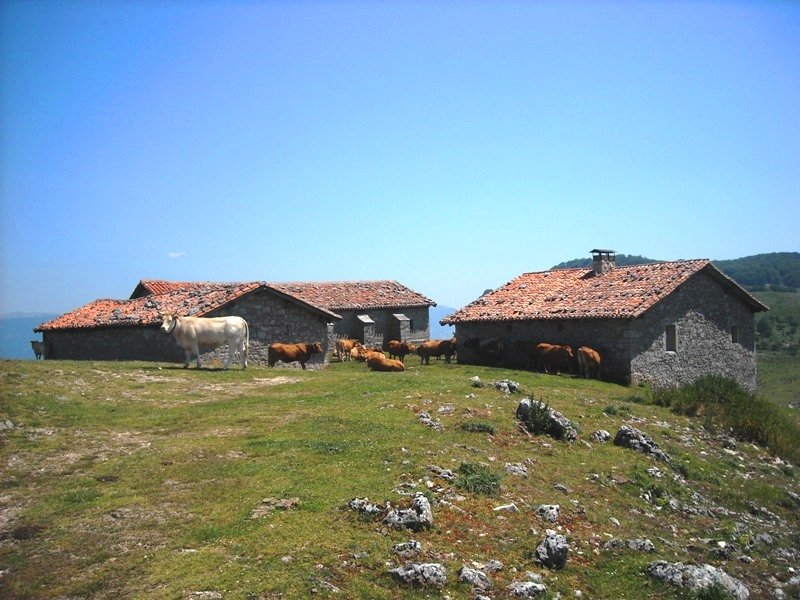 Behiak ermita inguruan