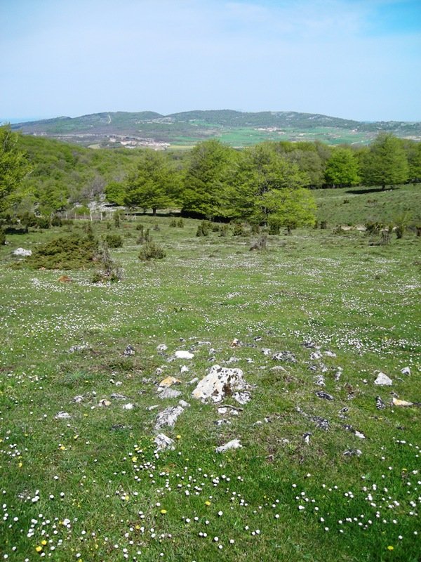 Santa Teodosia eremu tumularra