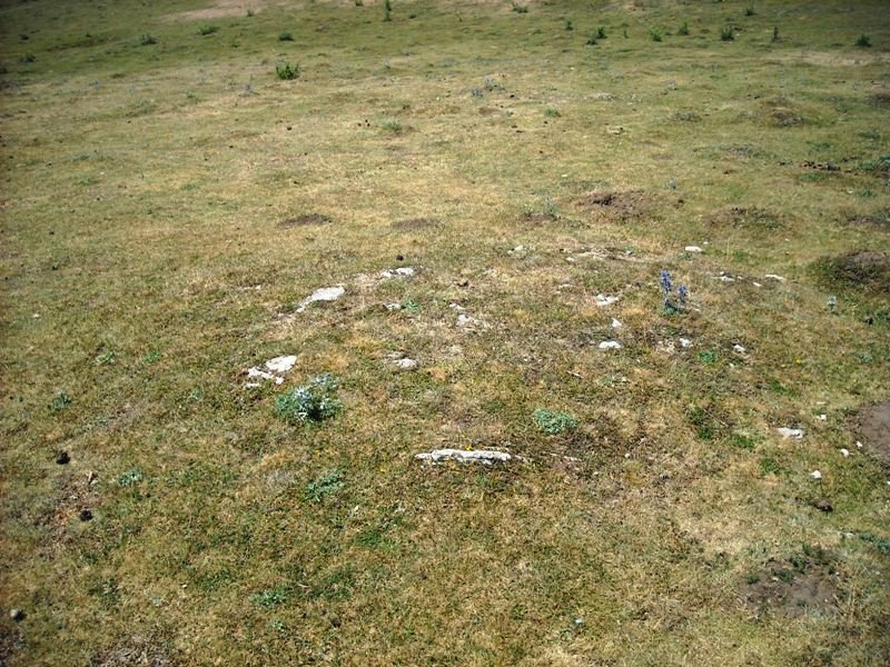 Camino de Arratondo hego