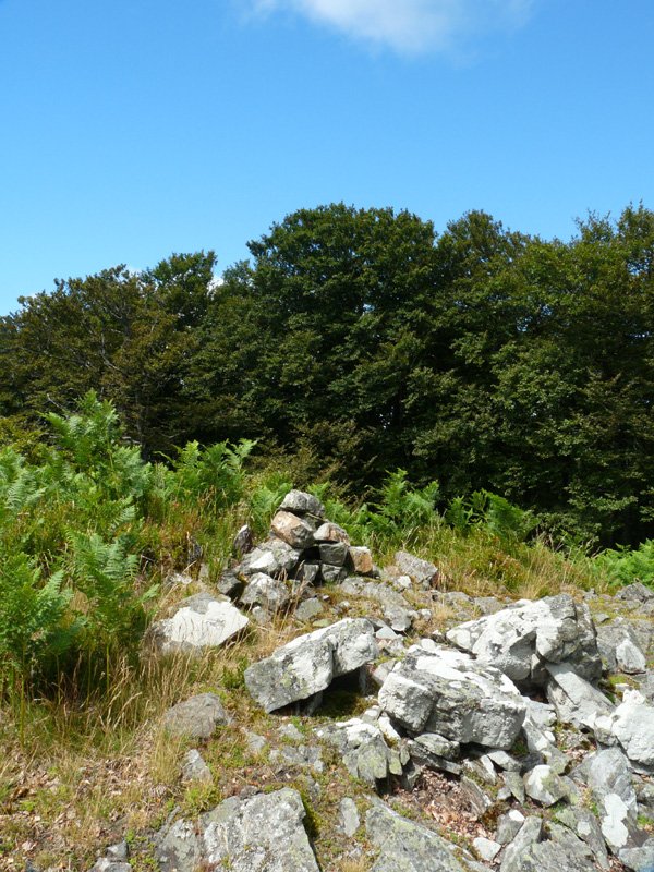 Pilotasoroko gailurra