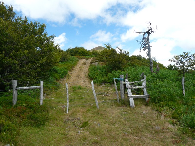 Pilotasoro eta Adiren arteko ataka