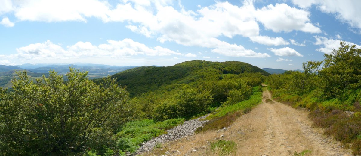 Pilotasoro eta Adiren arteko bidea