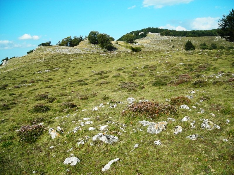 Iturmendiko Portua 1