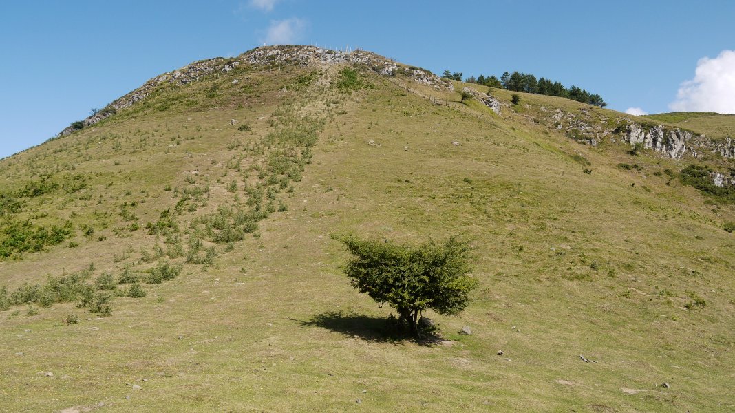 Tontorra Hegoaldeko bizkarretik