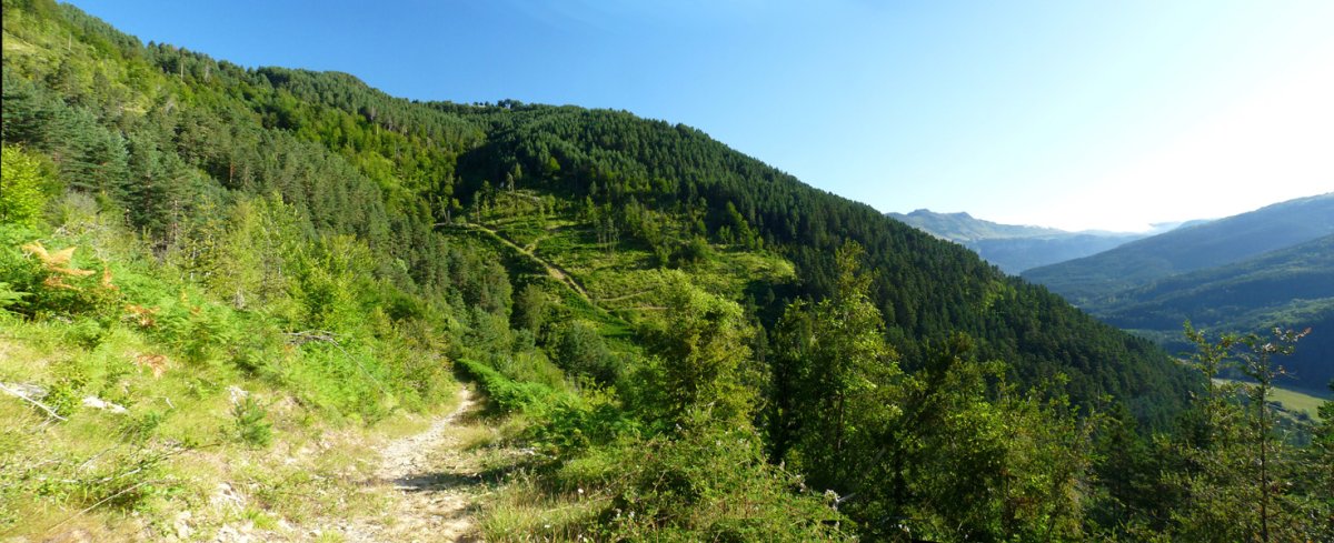 Erronkariko bidean gora