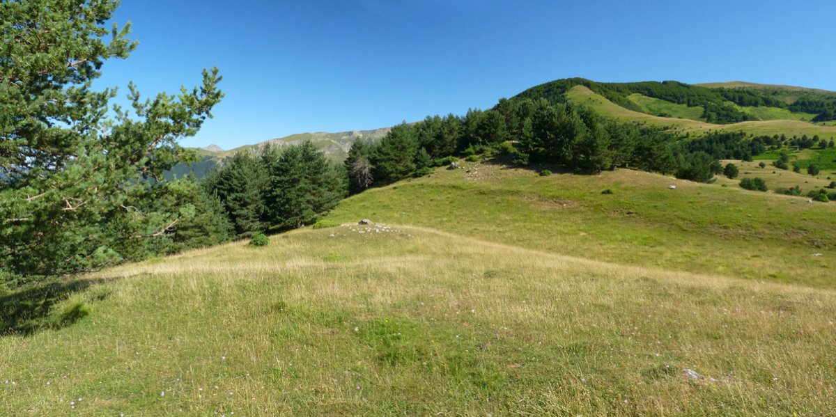 Adazidoia. Atzean, Larrondoa