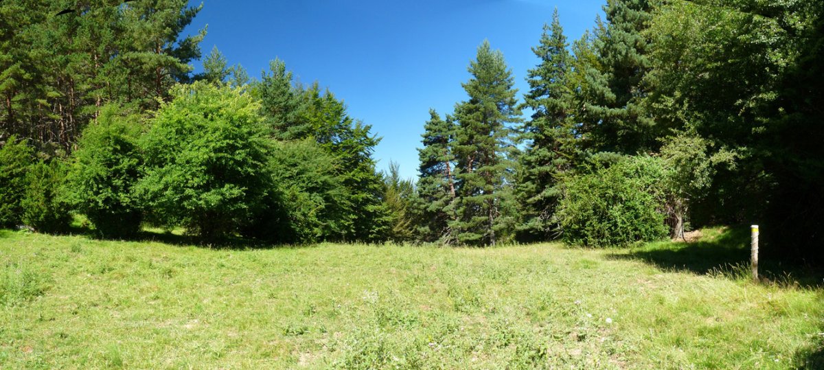 Mintxaiturriako lepoa