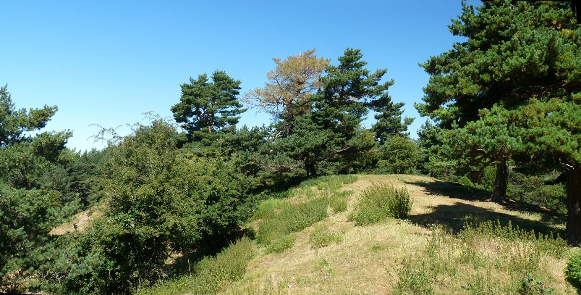 Mintxaiturriako gailurra