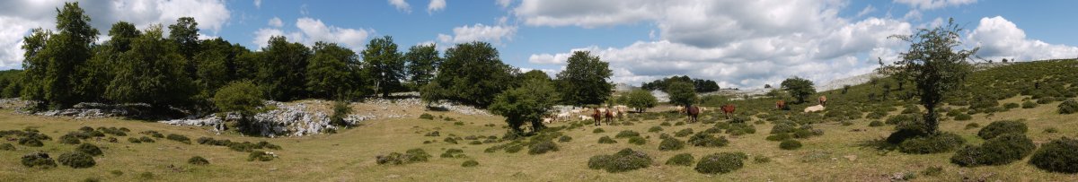 Mendebaldeko larreetako putzu baten inguruak