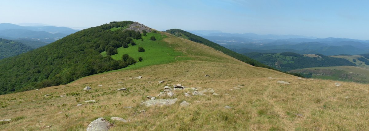 Algorrieta, Irumugetatik ikusita