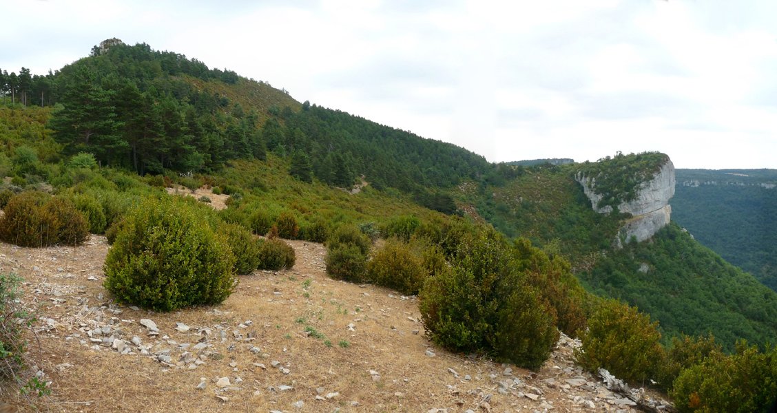 Aritzgaña eta Errasa Burruxulaingo hegietatik