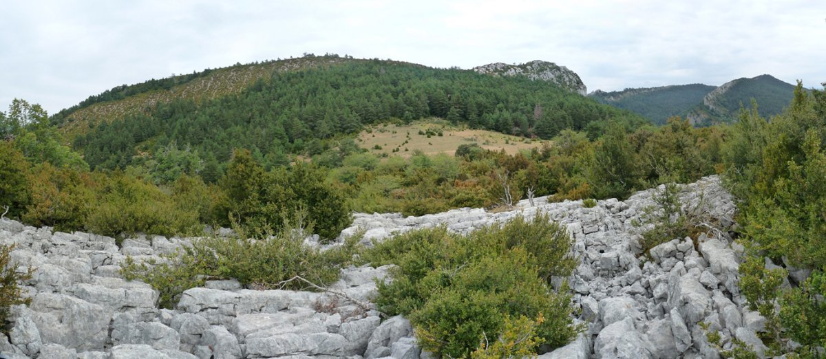 Errasako gailurreko lapiaza