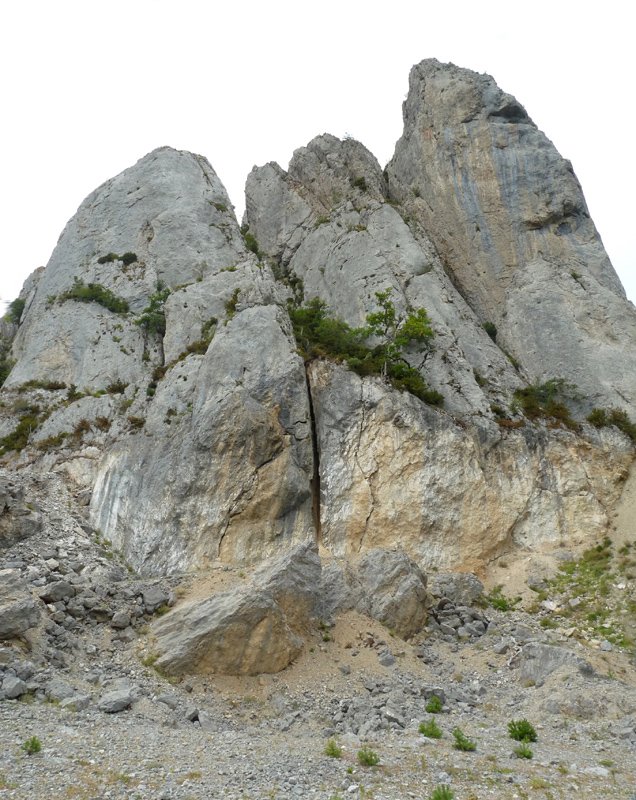 Aritzgaña, bertatik bertara