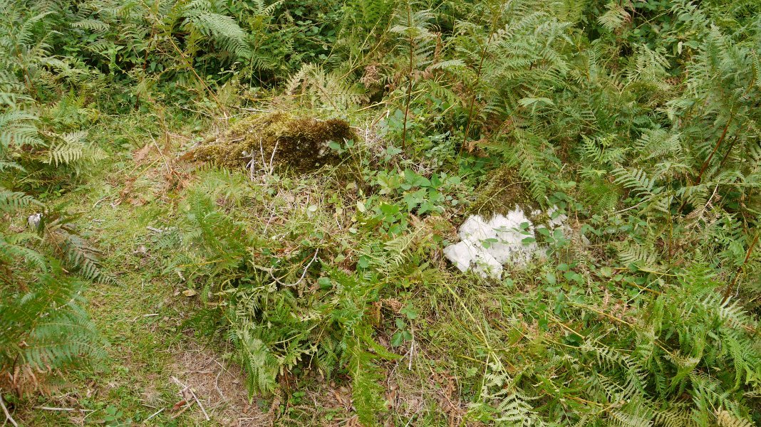 Ezin argazki txukunik atera