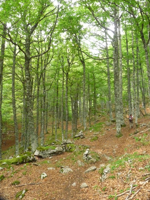 GR11 pagadian barrena