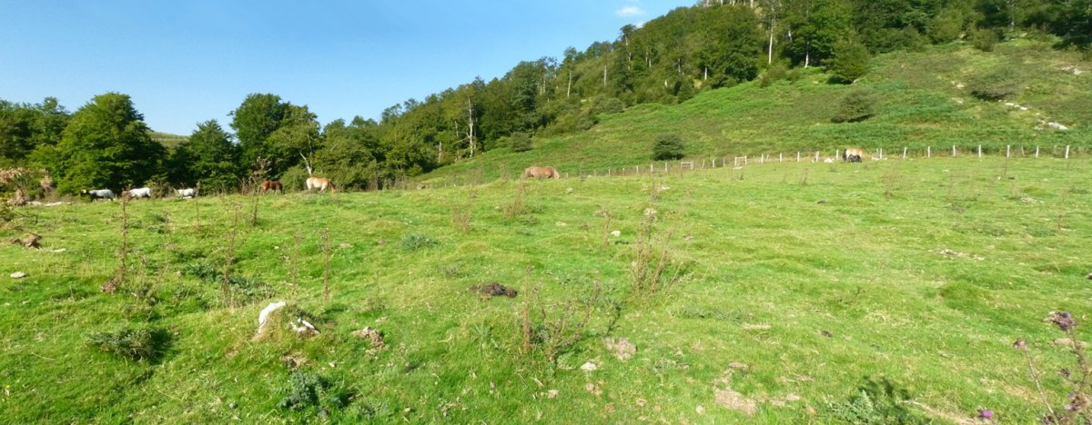 Arratakako etxola hondoak