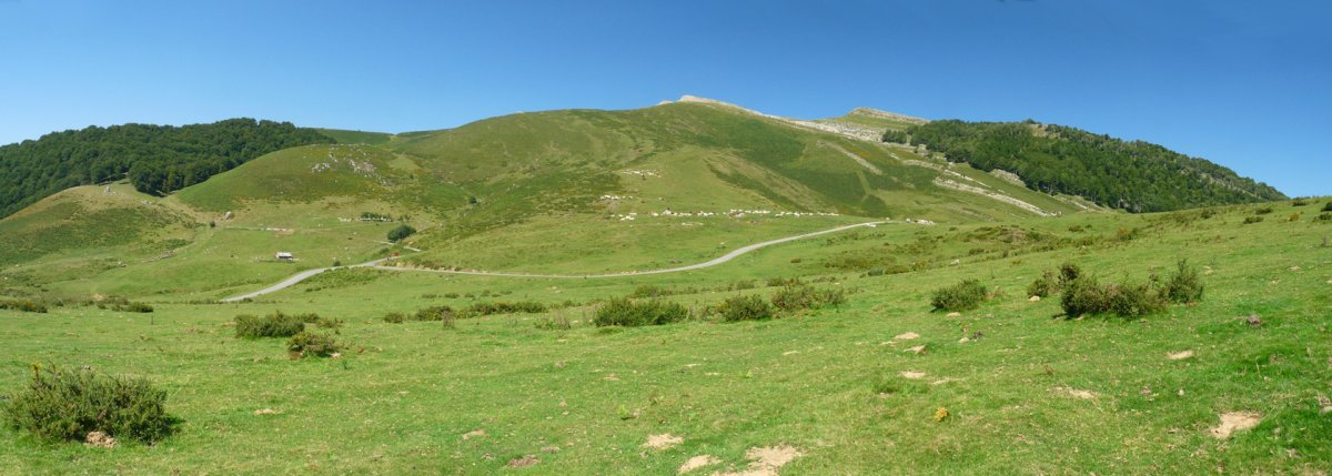 Urkulu eta Azpegiko lepoa