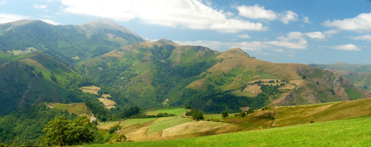 Auza Ahartzako lepotik