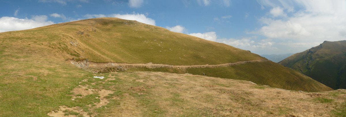 Oilarandoiko azken txanpa