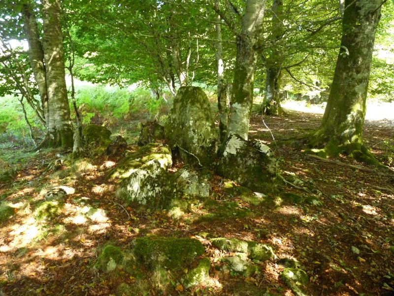 Patatalor (Zurittu berri)