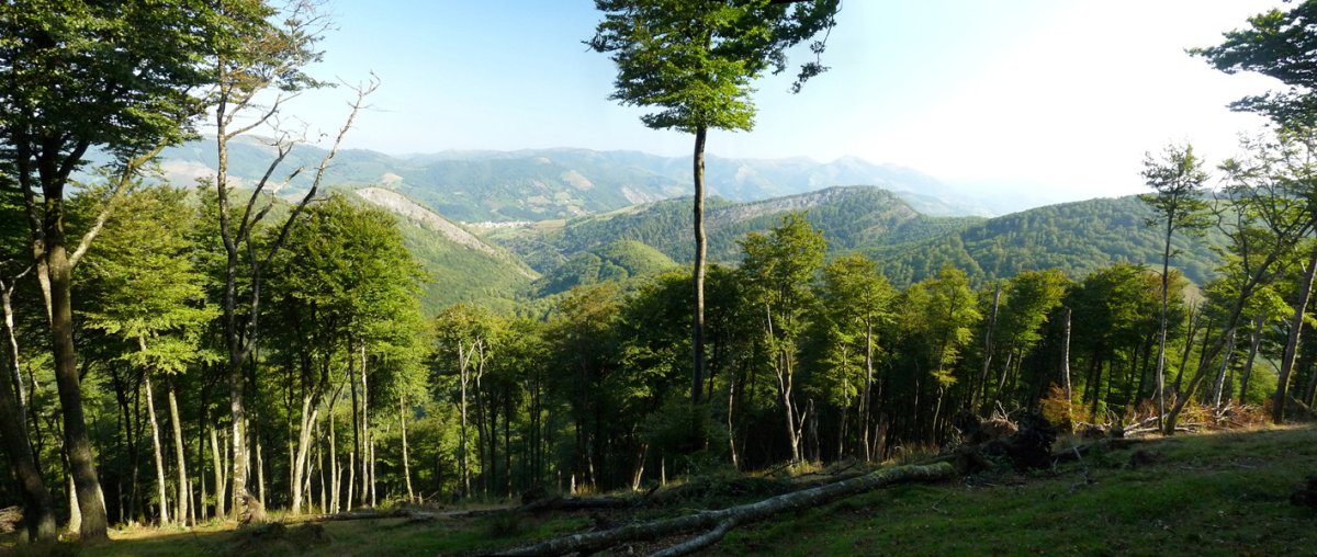 Iparraldeko ikuspegia