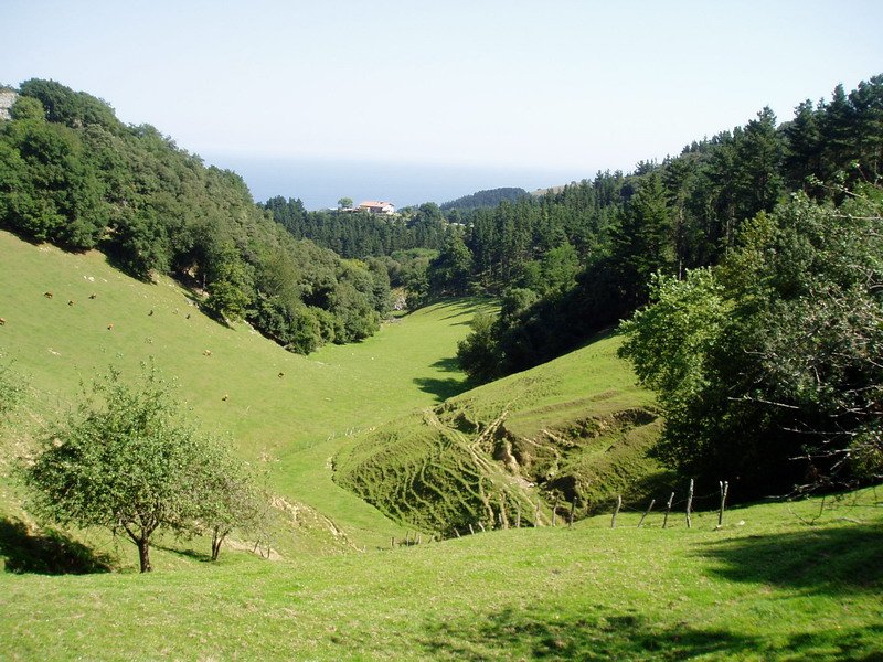 Abeletxetik gertu iparraldera ikuspegia