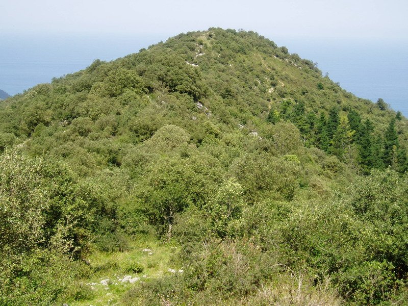 Arnoko Gurutzea Banderako Puntatik ikusita