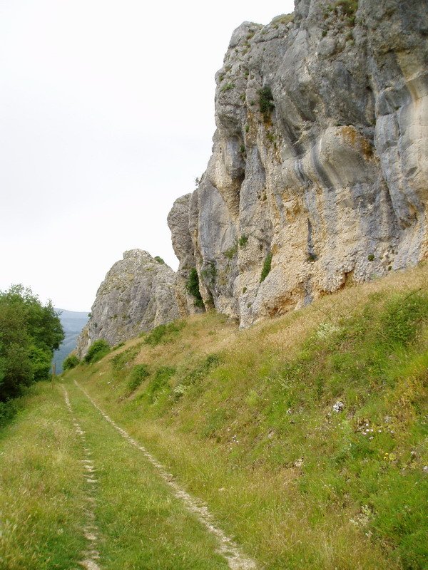 Mendebaldeko gandorraren hegoaldeko malkarrak