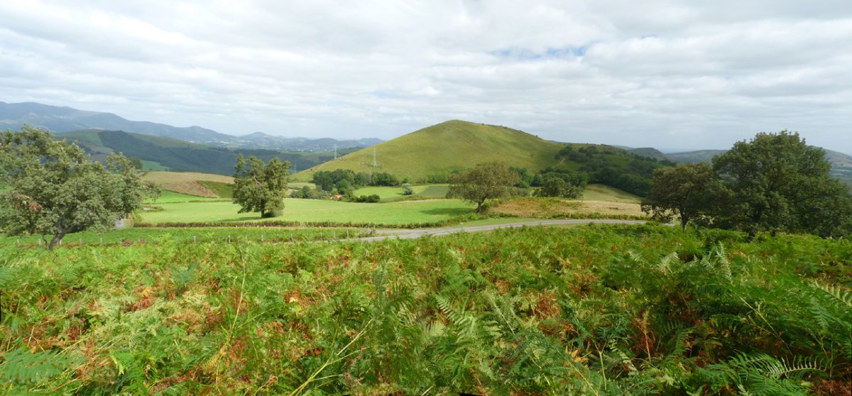 Paisaia ederrak Arradoiko bidetik